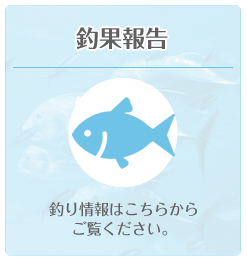 釣果報告